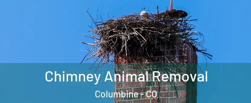 Chimney Animal Removal Columbine - CO