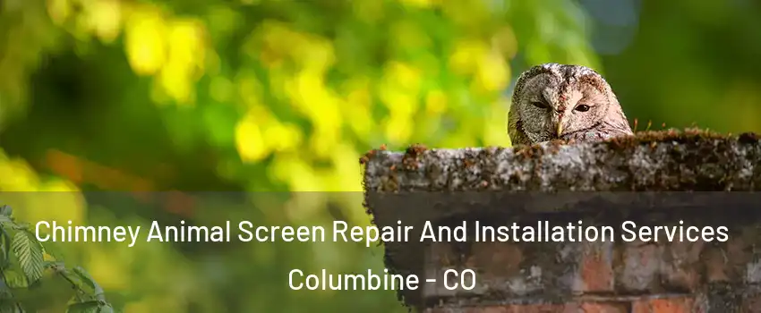  Chimney Animal Screen Repair And Installation Services Columbine - CO