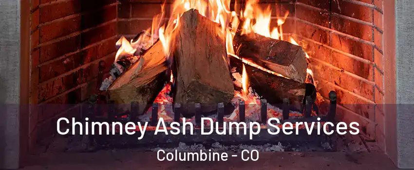  Chimney Ash Dump Services Columbine - CO