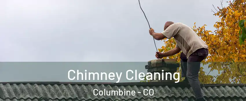  Chimney Cleaning Columbine - CO
