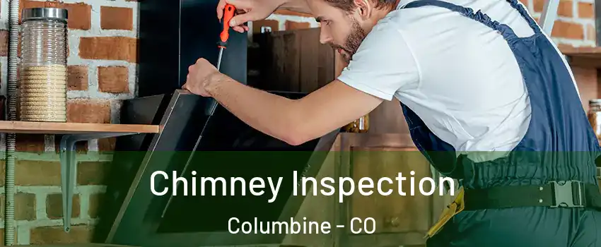  Chimney Inspection Columbine - CO