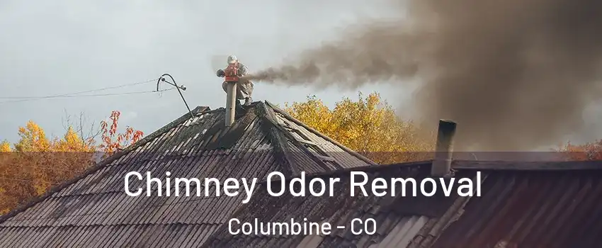  Chimney Odor Removal Columbine - CO