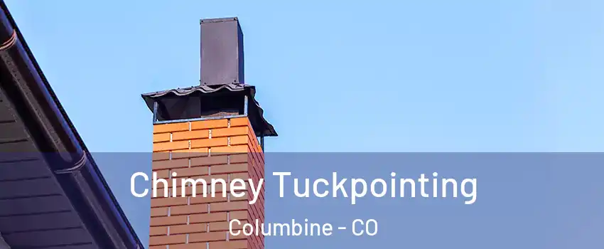 Chimney Tuckpointing Columbine - CO