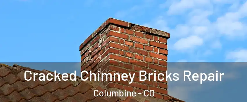 Cracked Chimney Bricks Repair Columbine - CO