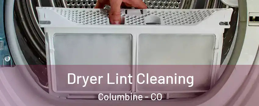 Dryer Lint Cleaning Columbine - CO