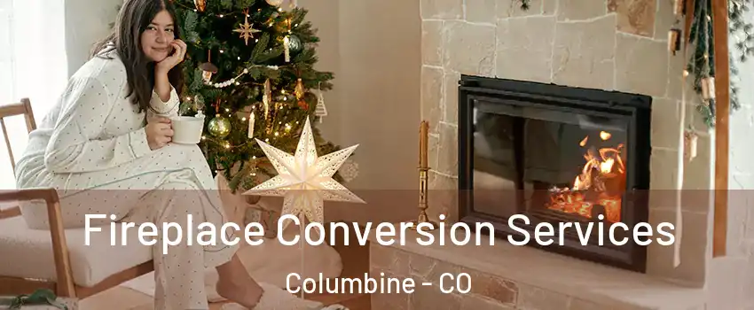  Fireplace Conversion Services Columbine - CO
