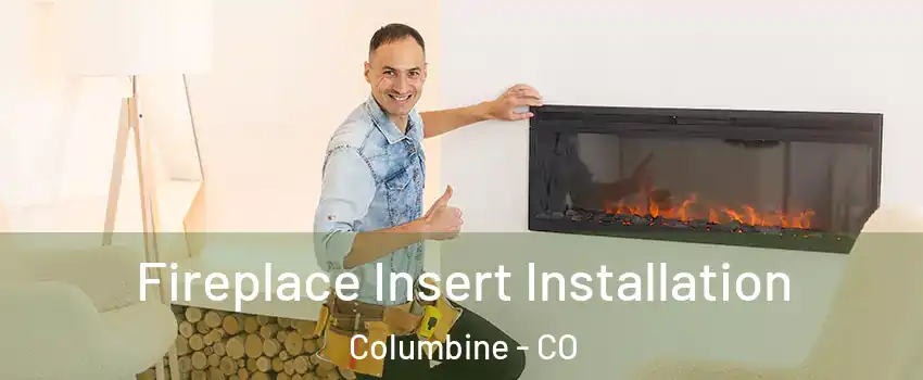  Fireplace Insert Installation Columbine - CO