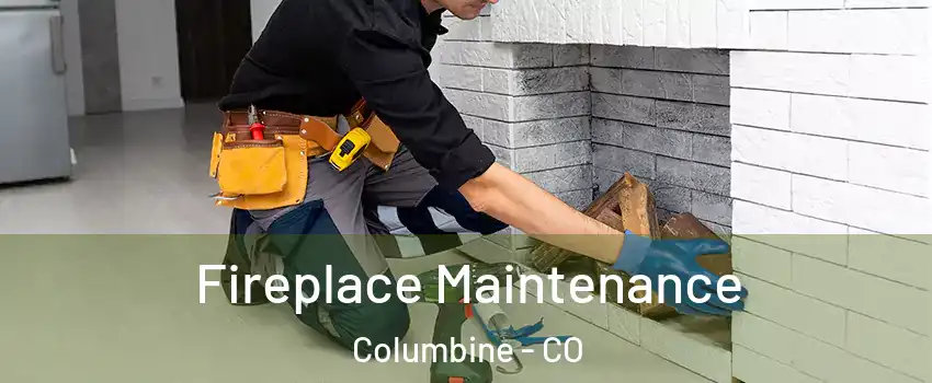  Fireplace Maintenance Columbine - CO
