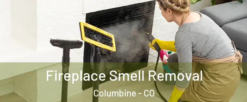  Fireplace Smell Removal Columbine - CO