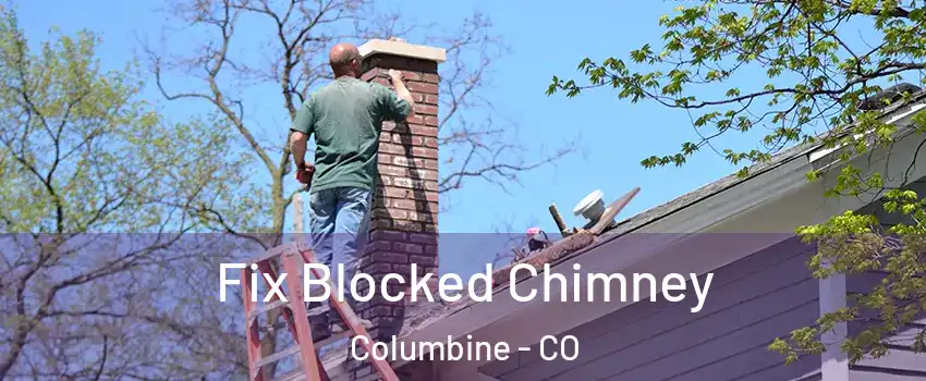 Fix Blocked Chimney Columbine - CO