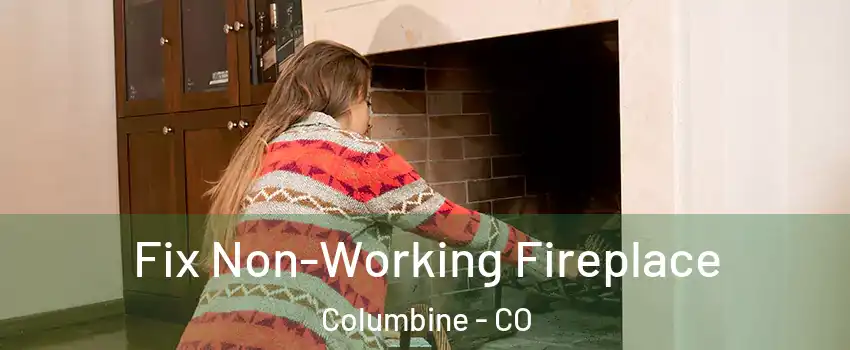  Fix Non-Working Fireplace Columbine - CO