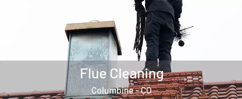 Flue Cleaning Columbine - CO