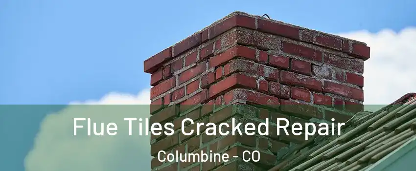  Flue Tiles Cracked Repair Columbine - CO