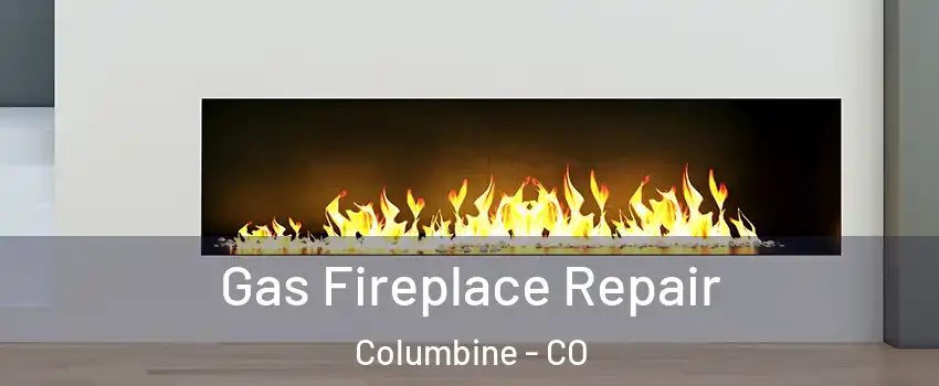  Gas Fireplace Repair Columbine - CO