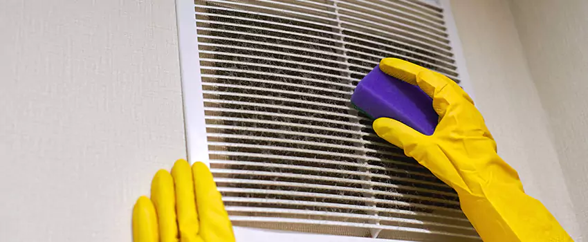 Vent Cleaning Company in Columbine, CO