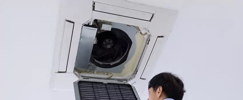 Benefits of Professional Air Duct Cleaning in Columbine, Colorado