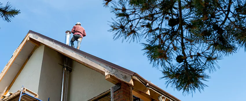 Birds Removal Contractors from Chimney in Columbine, CO