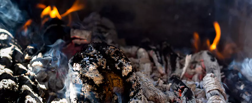 Creosote Removal Experts in Columbine, CO