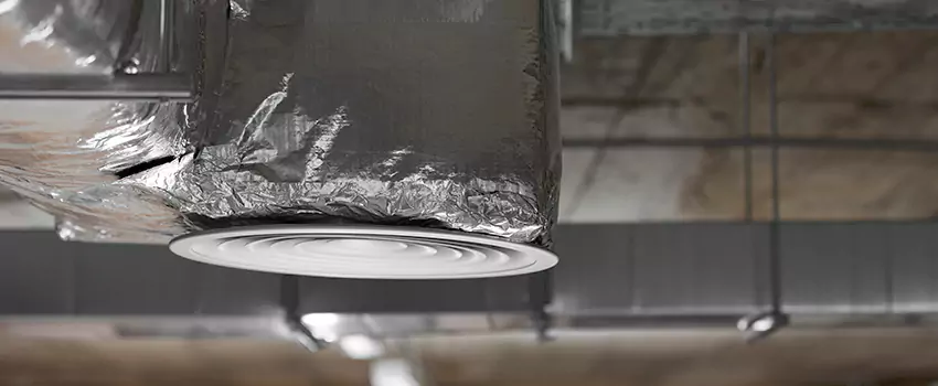 Signs of Dust Accumulation in Vents in Columbine, CO