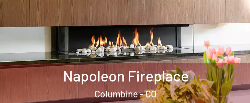  Napoleon Fireplace Columbine - CO