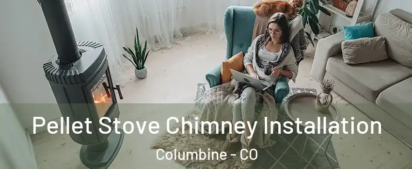  Pellet Stove Chimney Installation Columbine - CO